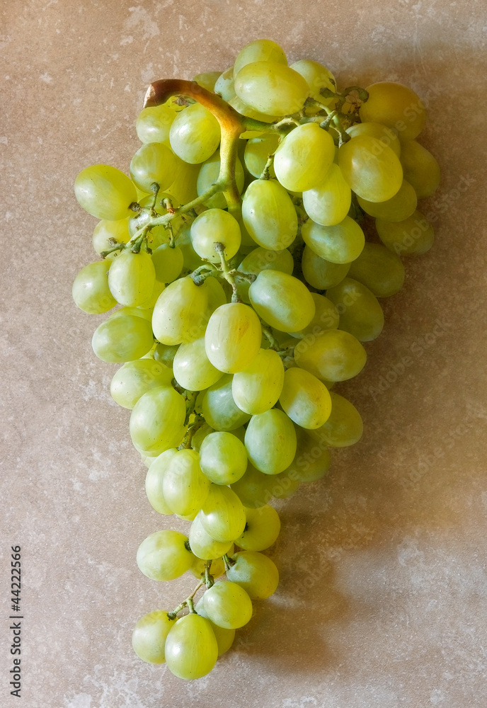 Grappolo d'uva bianca Grappolo d'uva bianca