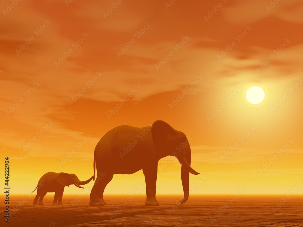 Fototapeta premium Mum and little elephant