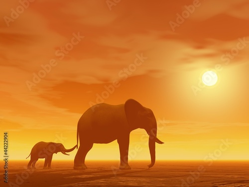 Mum and little elephant
