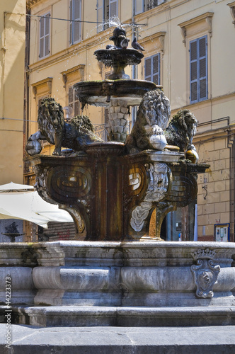 Fountain of St. Stefano. Viterbo. Lazio. Italy.
