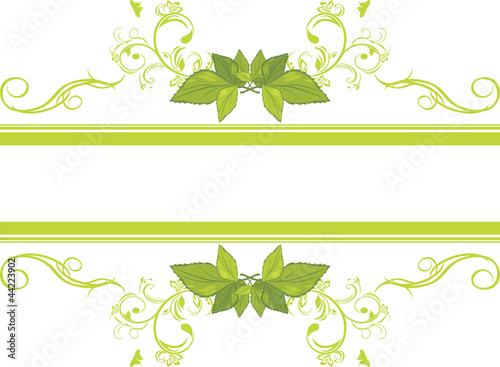 Ornamental frame with green leaves