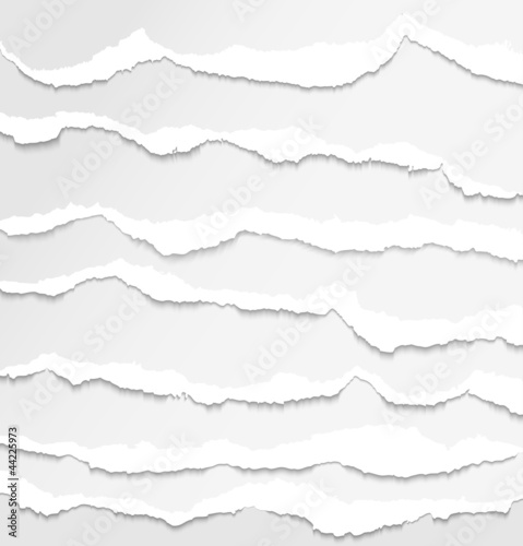 Collection of white torn paper