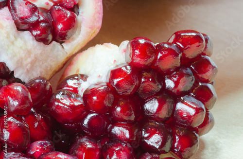 Melograno - Punica granatum photo