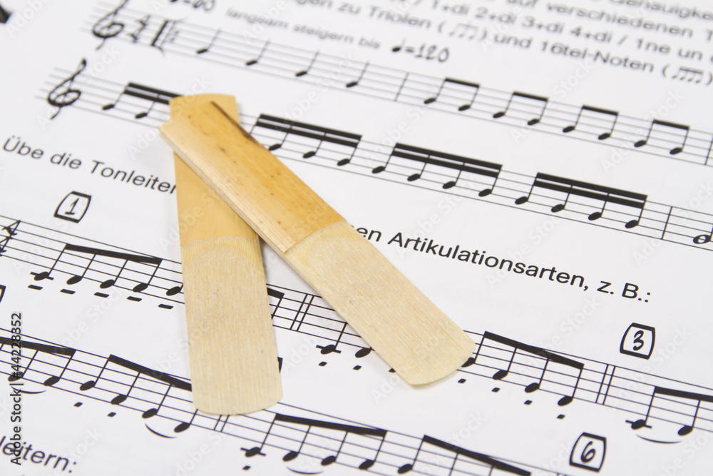 Naklejka premium blättchen für holzblasinstrumente