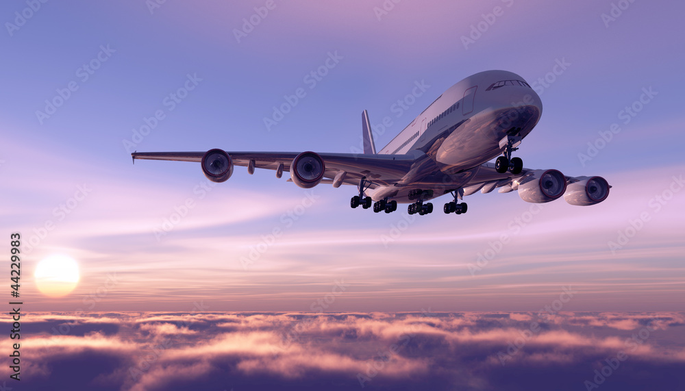 Obraz premium A passenger plane