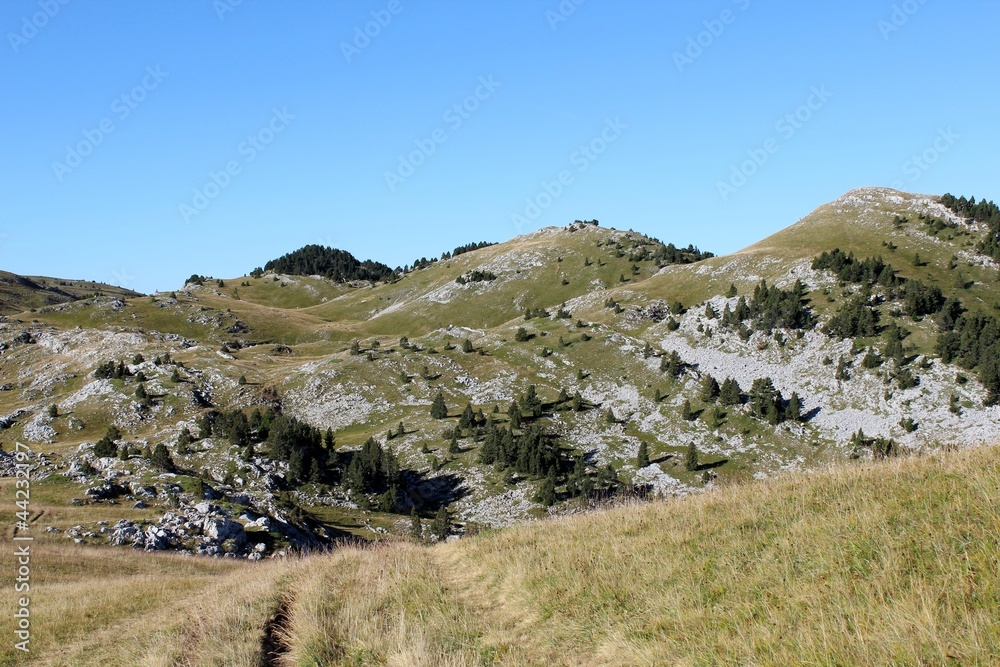 Fototapeta premium vercors