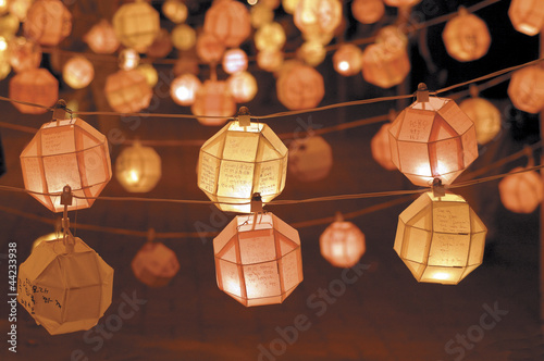 lotus lanterns hanging on the strings
