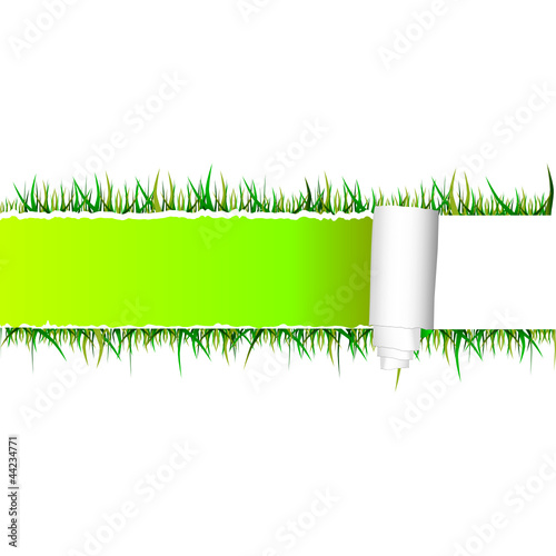 tearing paper and grass vector