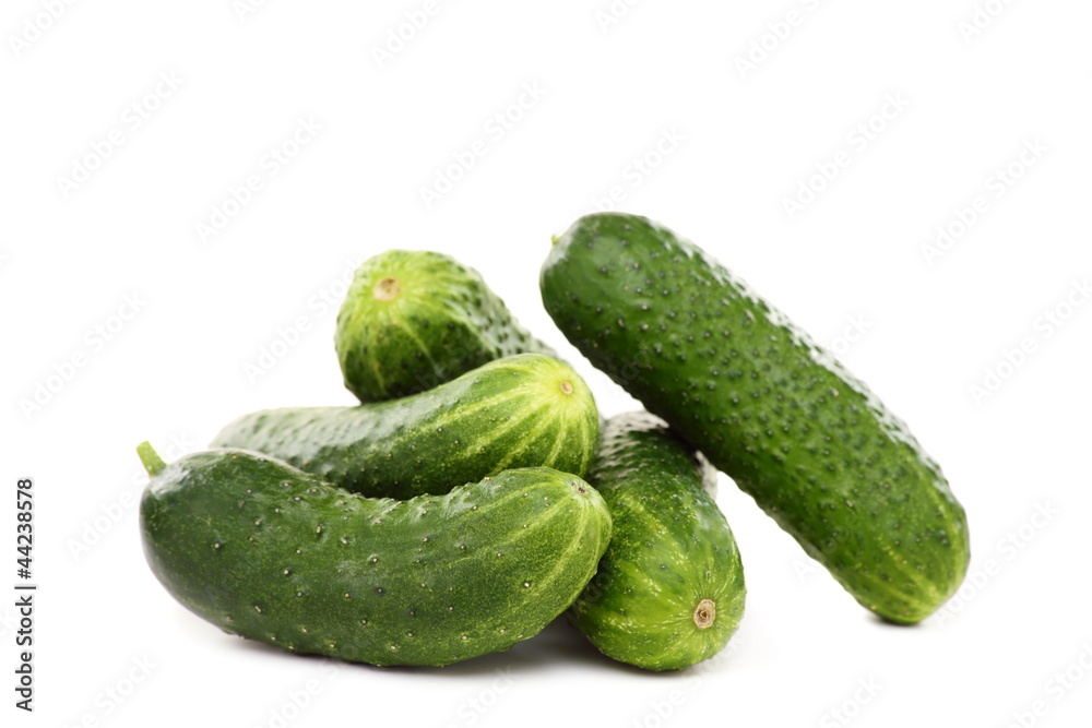 Fresh green cucumbers. Healthy food. Fresh green cucumbers. Healthy food.