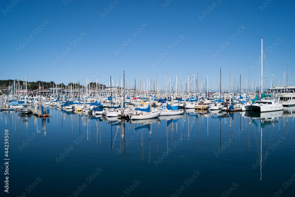 Yachts on still water in Monterey harbour