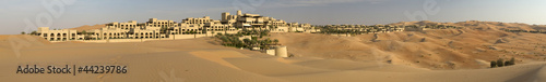 Abu Dhabi's desert dunes