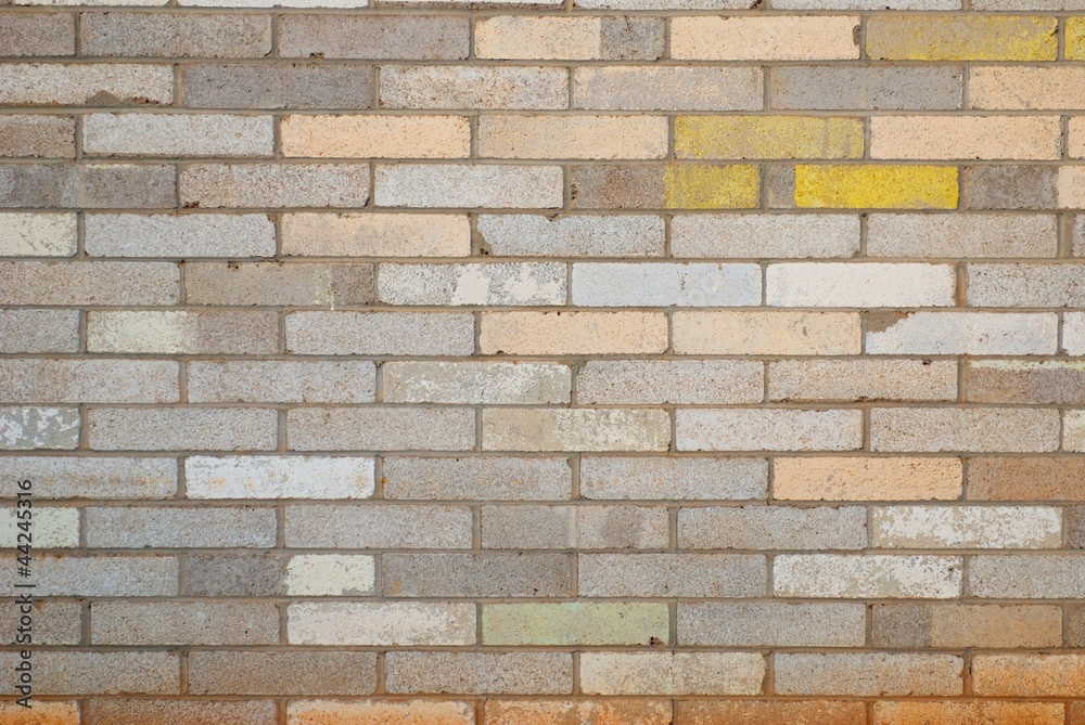 Obraz premium Painted Brick Wall
