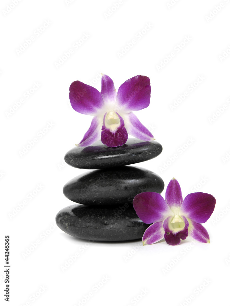 Fototapeta premium Two pink orchid and stacked stones on the white background