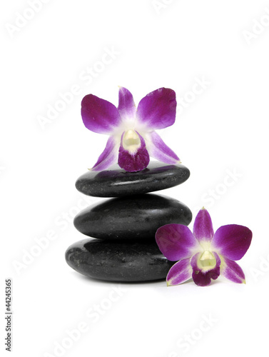 Two pink orchid and stacked stones on the white background
