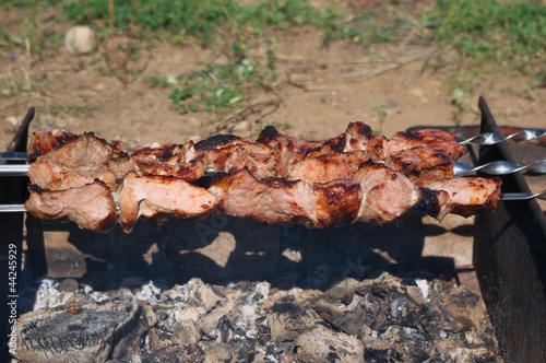 Shish kebab