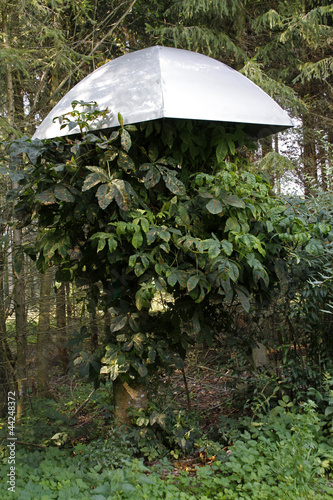 Der Pilz am Barntruper Kunstpfad photo