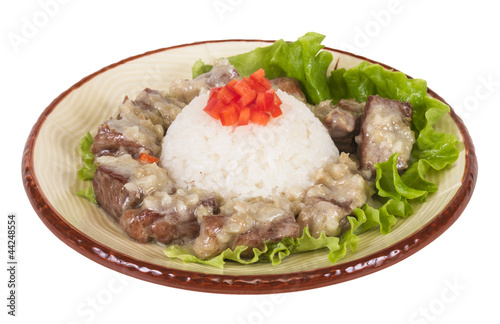 Rice and pork japanese style