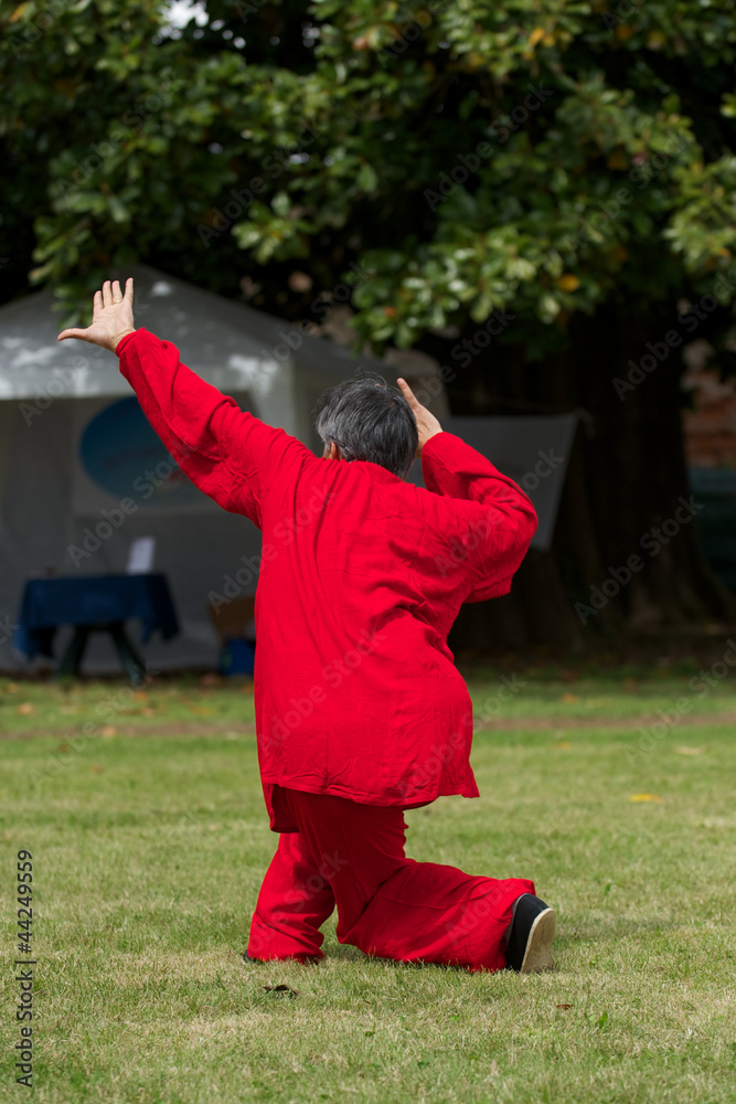 Obraz premium tai chi