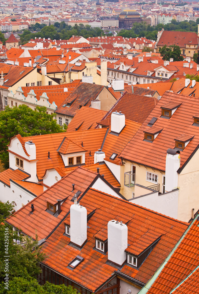 Tile roofs of the old city. Top view