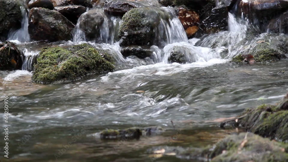 spring water nature scene spring water nature scene