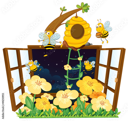 bees, bird house and window