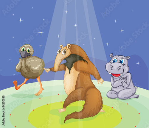 Animals under lights
