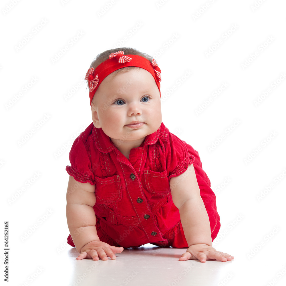 pretty crawling baby girl isolated on white background pretty crawling baby girl isolated on white background