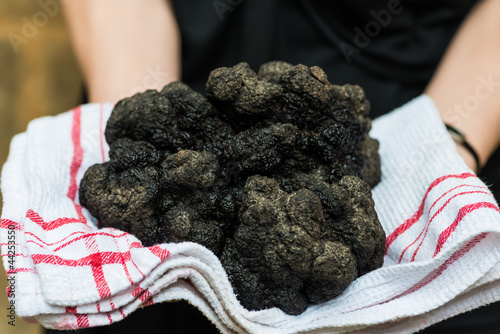Tapety artystyczne biggest black truffle dordogne perigord France