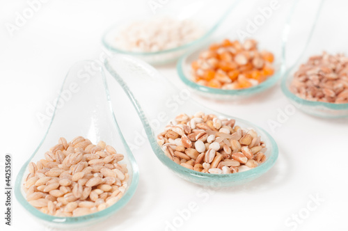 Cereals - grains on a white background_ Cereali su sfondo bianco