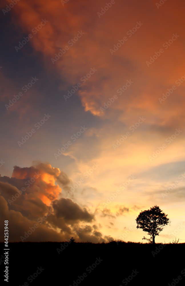 Fototapeta premium sunset