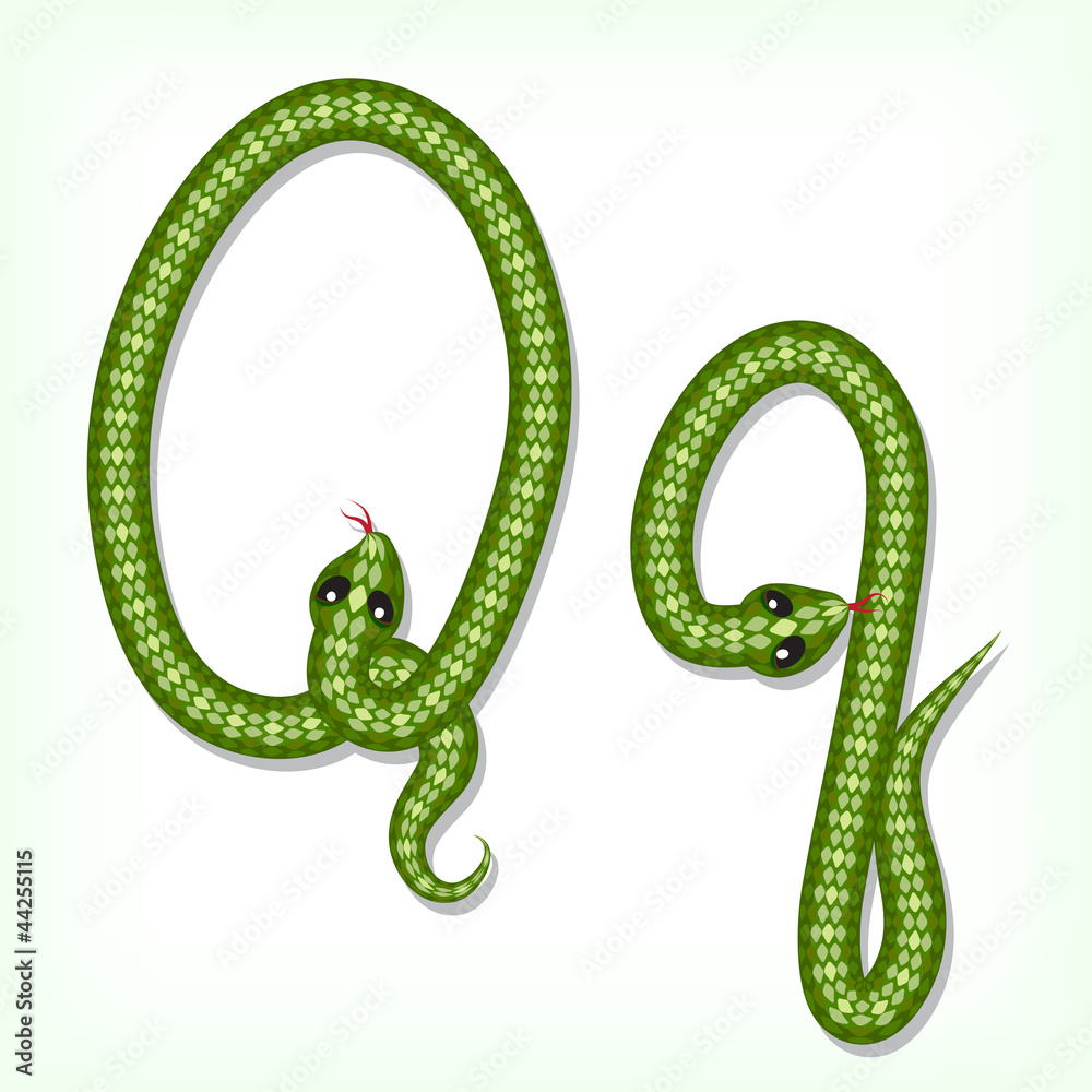 Obraz premium Snake font. Letter Q
