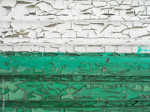 Quadro su tela Old cracked wall texture: green and white colors