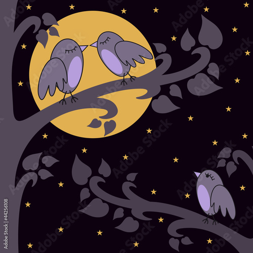 night-birds