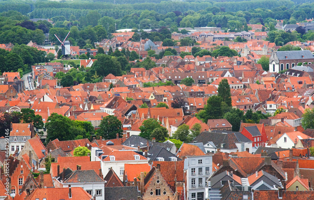 Obraz premium Roofs of Flemish Houses and windmill in Brugge, Belgium