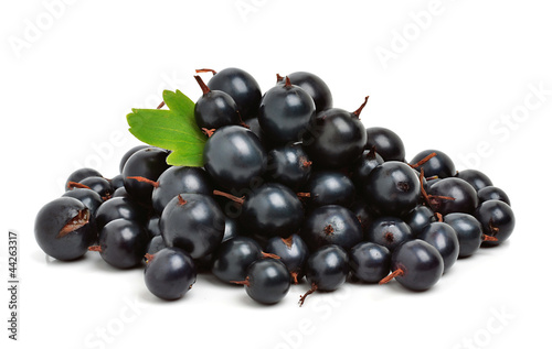 Black ripe currants