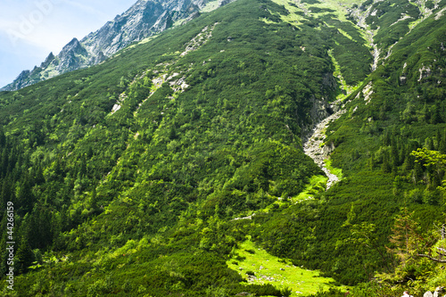 Mountain trail landscape