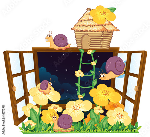 snails, bird house and window