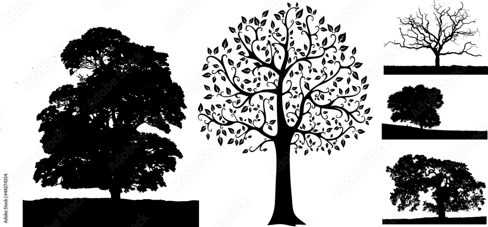 Fototapeta premium group of some trees
