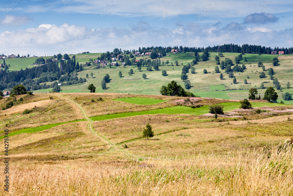 Obraz premium fields and meadows surrounding Zakopane