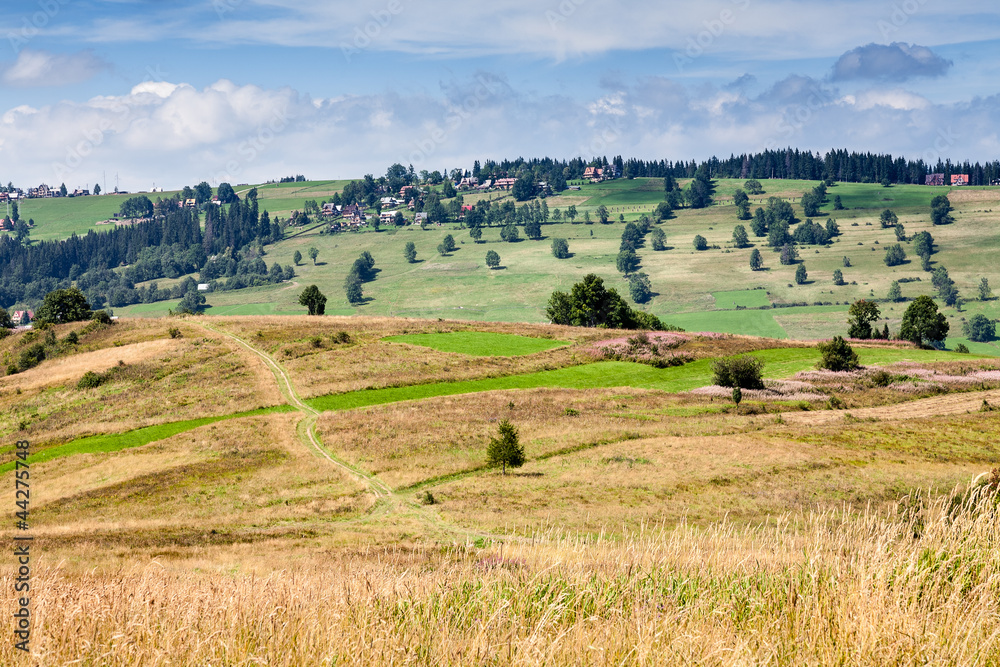 fields and meadows surrounding Zakopane