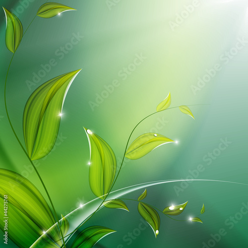 floral vector background. Eps10 photo