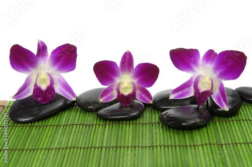 Beautiful three orchid three stones