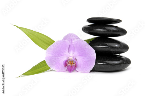 Zen pebbles balance. Pink orchid and bamboo leaf
