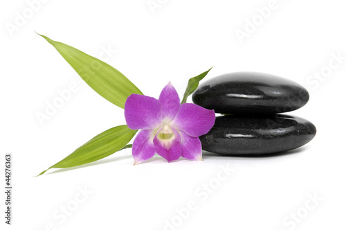 spa concept- stones and pink orchid