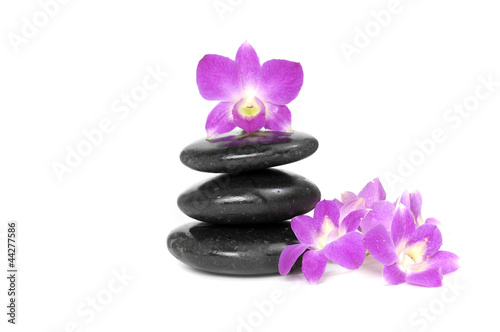 pink orchid and stacked stones ,isolated