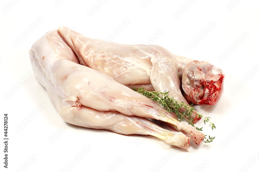 lapin lapin