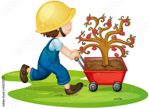 a boy carrying tree