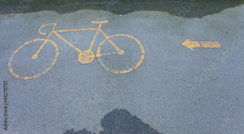 Cycle track in the park