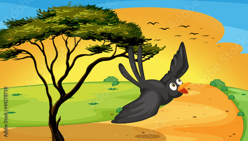 bird fly near tree
