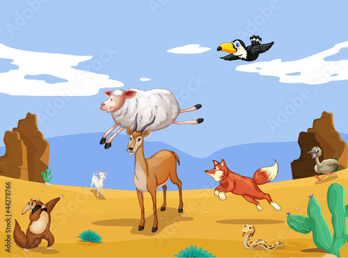 various animals